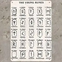 THE VIKING RUNES《ルーン文字》【ブリキプレート】