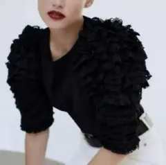 ZARA フリル袖ニットトップス