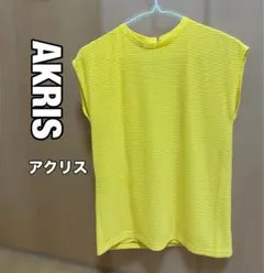 ★ 新品タグ付き★AKRIS アクリス イエロー 半袖トップス サイズ34のサムネイル