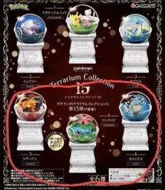 ポケモン　テラリウムコレクション15　リザードン　フシギバナ　カメックス