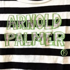 ARNOLD PALMER ストライプ 半袖Tシャツ