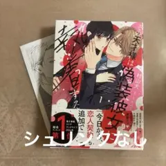 その天才様は偽装彼女に執着する 1