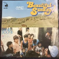 2025年最新】ビューティフルサンデイの人気アイテム - メルカリ