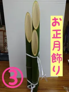 Item thumbnail for item 1f0ee276-7c7a-4286-83ab-81e513e93c72