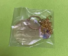 新品未開封 ゴールデンボンバー 通販限定 バッグチャーム