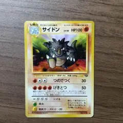ポケパーク グラードン 042/PCG-P PokéPark 2005 プロモ - メルカリ