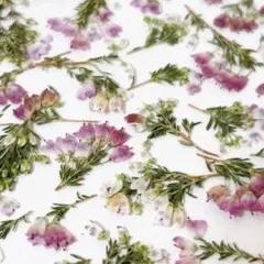 Item thumbnail for item 0cad928c-dffe-48c6-b4b2-a287c8d6b21a