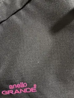 anello GRANDE 傷確認用