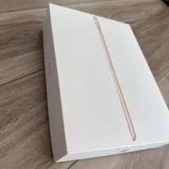 iPad mini第5世代　本体 充電ケーブル・アダプタ付き