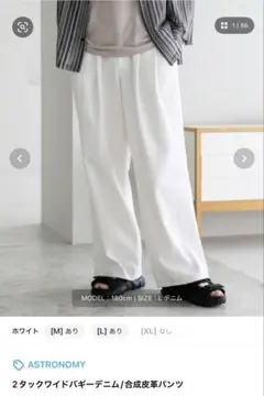 ASTRONOMY 2タックワイドパンツ L ホワイト