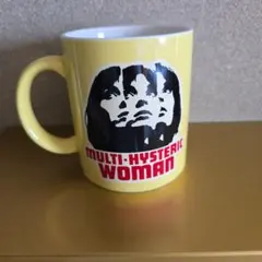 【未使用】HYSTERIC GLAMOUR キャンプ食器セット 箱・説明書付 Hysteric Glamour アウトドア 食器セット 珍品 カップ以外未使用