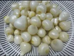 ノビル 野蒜 のびる 山菜 旬の野菜500g - メルカリ