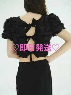 CLANE W FACE CLOUD PUFF SLEEVE TOPS サイズ2のサムネイル