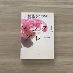 加藤シゲアキ ピンクとグレー