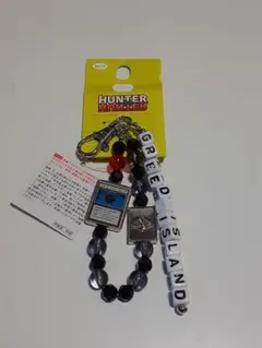 HUNTER × HUNTER グリードアイランドカードメタルキーホルダー - メルカリ