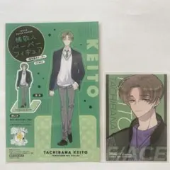 多聞くん今どっち　橘敬人　ペーパーフィギュア　ステッカー