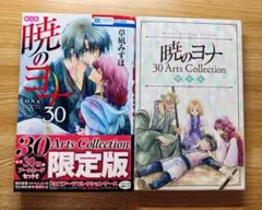 2026年最新】暁のヨナ30 限定版の人気アイテム - メルカリ