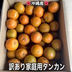沖縄産訳あり家庭用タンカン(10kg)