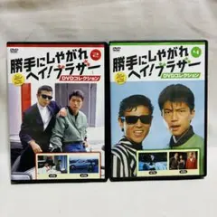 2026年最新】勝手にしやがれヘイ！ブラザーDVDコレクション 創刊号の