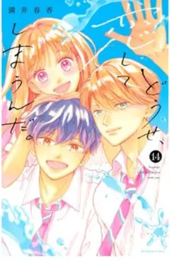 【はんなり様専用】どうせ恋してしまうんだ。14巻