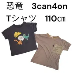 3can4on ボーダーTシャツ　恐竜 Tシャツ 110cm 2枚セットのサムネイル