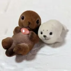 2026年最新】centex アザラシの人気アイテム - メルカリ