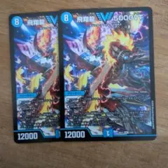 飛翔龍 5000VT（フライングブイ） 2枚 - メルカリ