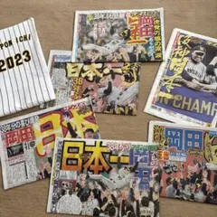 2023 阪神タイガース 日本一記念 関西スポーツ新聞5紙セット - メルカリ