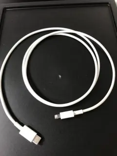 iPhone 充電器 純正 タイプCライトニングケーブル Apple 新品