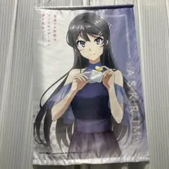 2026年最新】桜島麻衣 タペストリーの人気アイテム - メルカリ