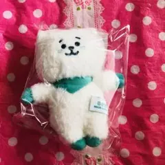 【未開封】BT21  5周年 RJ ファミマ限定 マスコット グリーン ソクジン