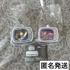 星のカービィ　シャカシャカアクリルチャーム　2個セット