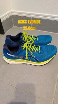 【希少29.0cm】ASICS エボライド 初代 軽量・走行効率特化