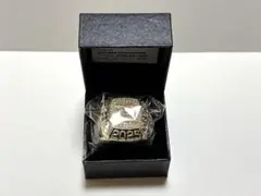 阪神タイガース 2025年 セントラルリーグ 優勝記念 チャンピオンリングのサムネイル