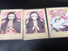 鬼滅の刃 竈門禰豆子 甘露寺蜜璃 ぱしゃこれ其の捌