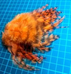 Item thumbnail for item 3b0fc5ef-d996-44a1-b575-81389e473252