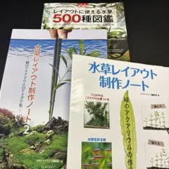 レイアウトに使える水草