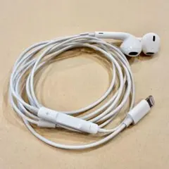 Apple純正 Lightning イヤフォン 有線