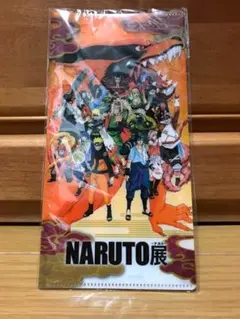 【新品未開封】NARUTO チケットファイル