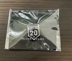 Item thumbnail for item 755c760e-600b-43f8-a941-e12d2383c23d