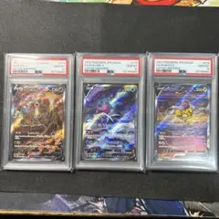 エンテイV スイクンV ライコウV SAR PSA10 連番