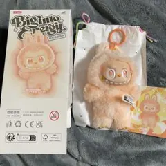 【正規品】POPMART LABUBU ラブブ エナジー HAPPINESS