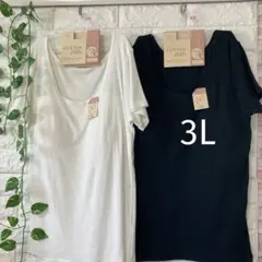 コットン100カップ付半袖(フレンチ袖)3Lブラトップブラックホワイト綿100