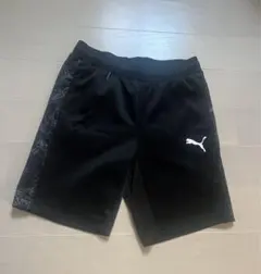 トレーニングパンツ ウェア