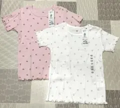 オーガニックコットン テレコリブ半袖Tシャツ 2枚セット 120