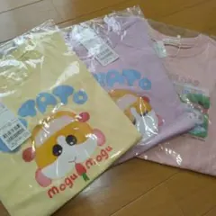 モルカー　Tシャツ3枚