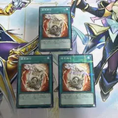 ryus様 リクエスト 2点 まとめ商品