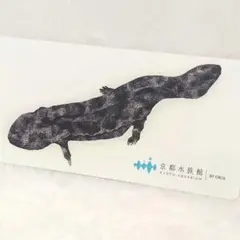 オオサンショウウオ『京都水族館』 オリックス株主優待 未開封 LL
