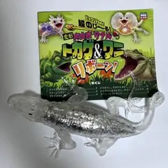 変形爬虫類リアル トカゲ＆ワニ リボーン！ グリーンイグアナ