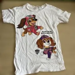 PAW Patrol キャラクター Tシャツ 6-7歳 ホワイト